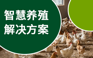 智慧养殖解决方案