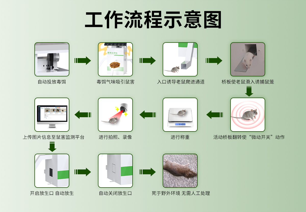 鼠害监测站_04.jpg