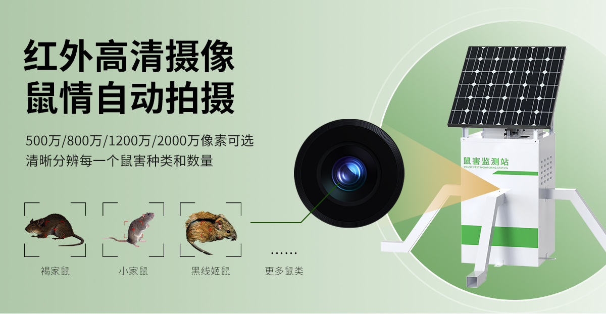 鼠害监测站_06.jpg